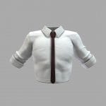 Male Tucked In White Shirt With Tie