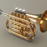 Pocket Trumpet