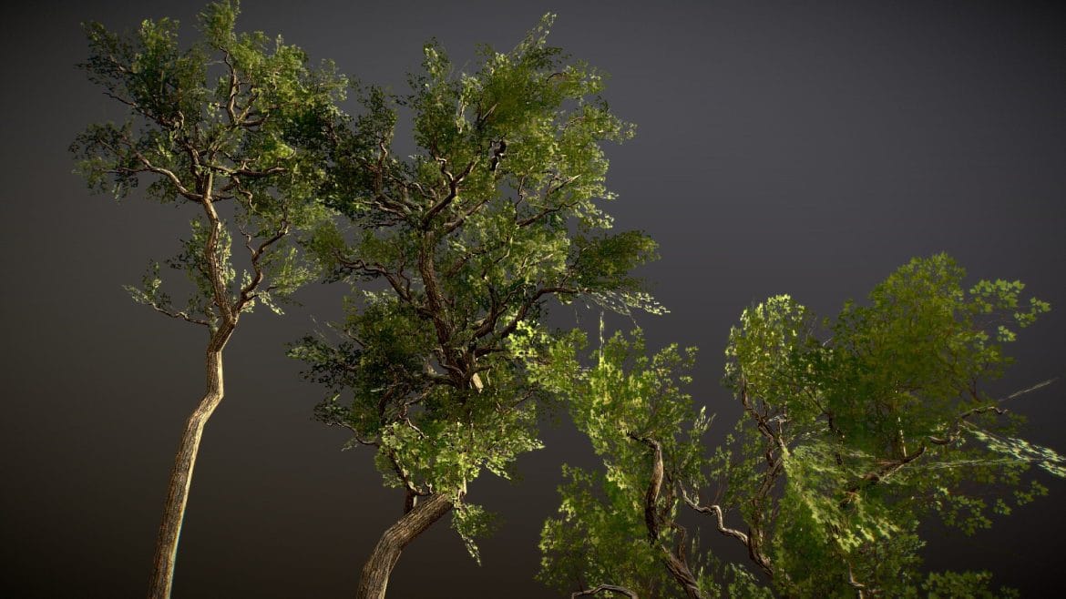 low poly realistic trees pack.thumb