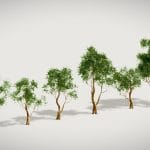 Low Poly Tree Pack 01