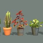 Plants and Houseplants pack 3