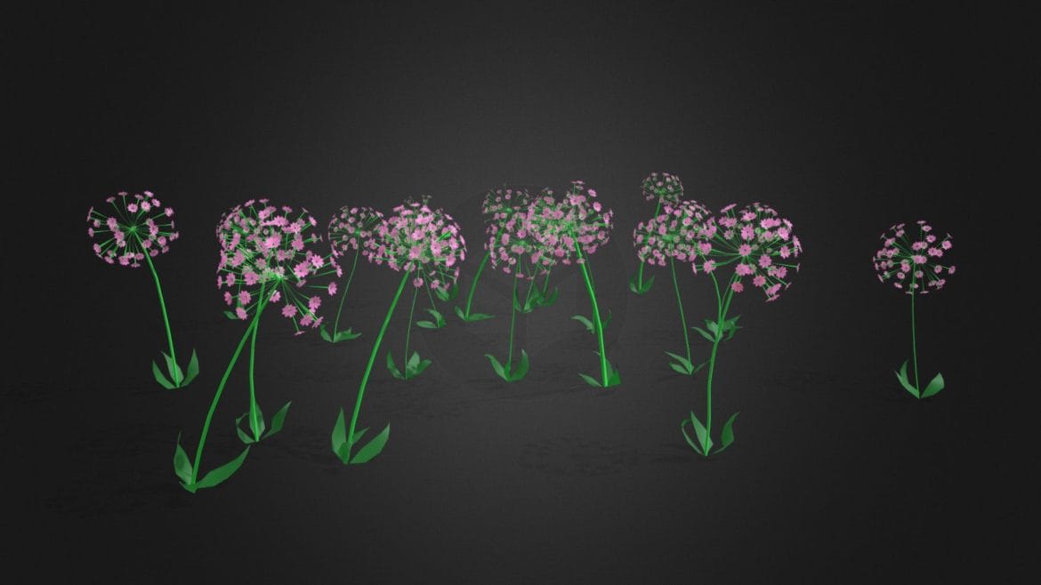 animated lilly flowers.thumb