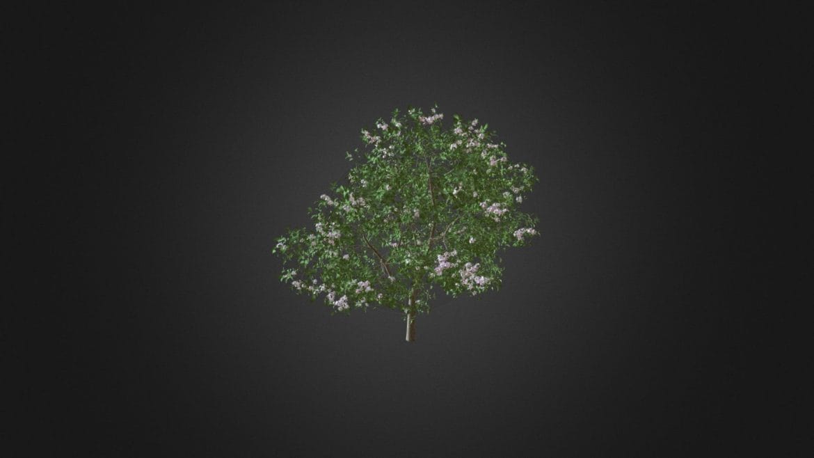 apple tree with flowers 3d model 37m.thumb