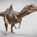 concavenator corvovatus.thumb