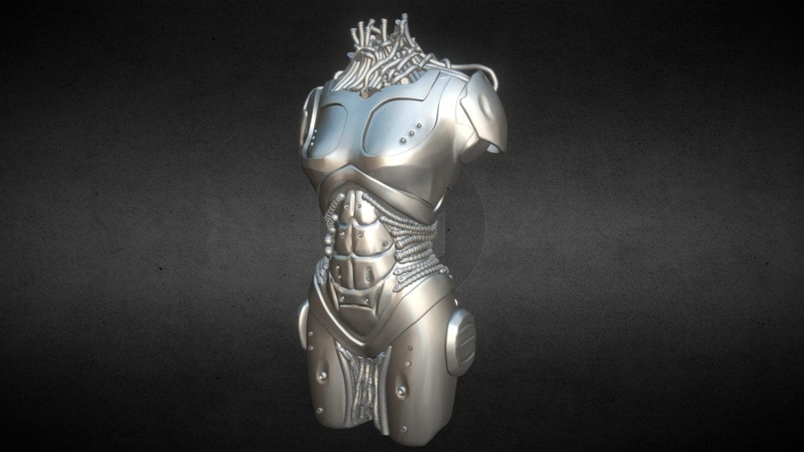 day 29 robot female torso.thumb