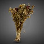Dry Flowers Bouquet