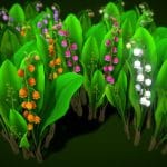 FLower Convallaria majalis