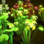 Flower Green Pitcher