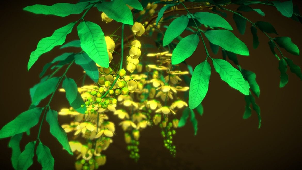 flower osaka.thumb 1