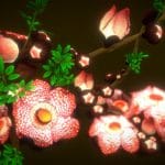 Flower_Rafflesia arnoldii