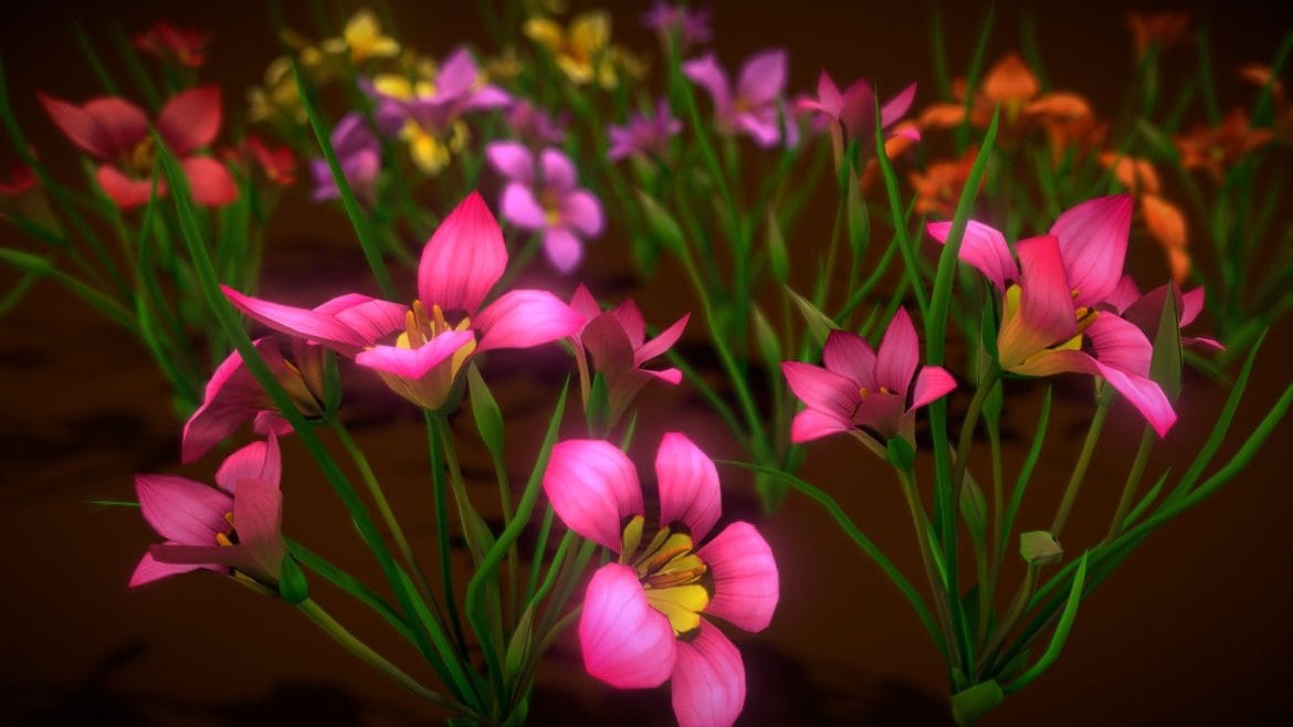 flower romulea subfistulosa.thumb