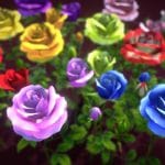 flower rose madiver.thumb 1