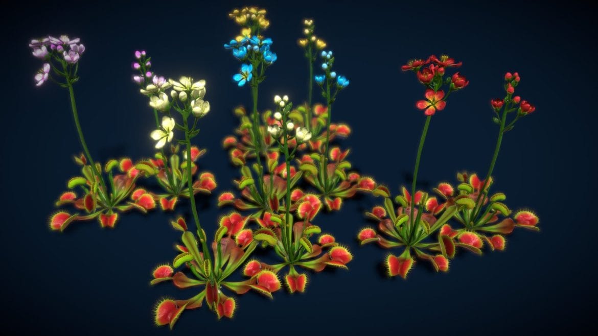 flower venus flytrap.thumb