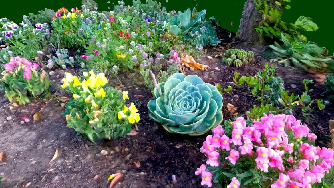 garden flowers.thumb 1