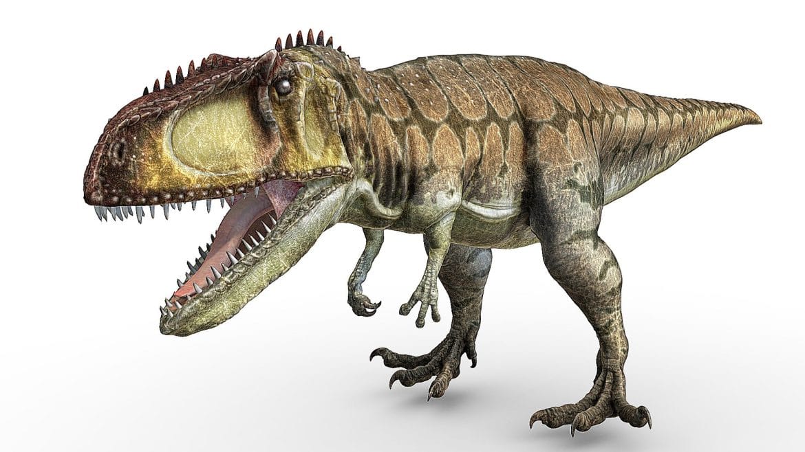 giganotosaurus.thumb