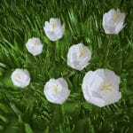 Low Poly Grass and Flower