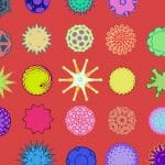 Low-Poly Shapes, Pollen, Coronavirus, Flowers