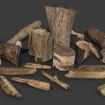 Scanned Logs Planks Sticks and Stumps