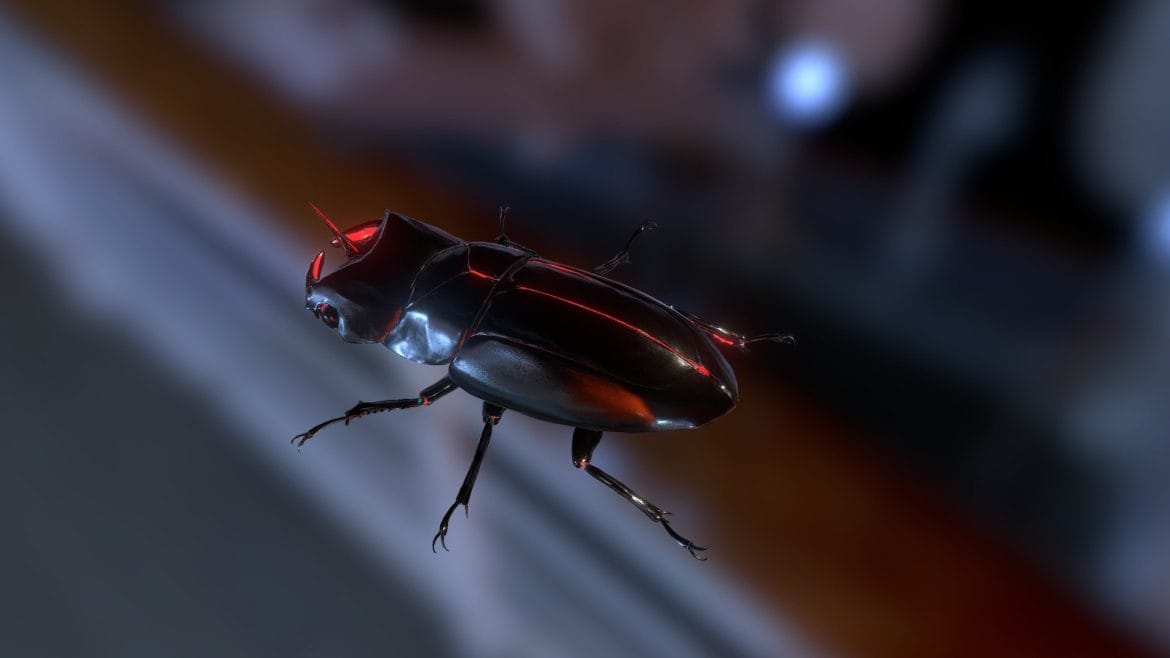 transform unicorn beetle.thumb