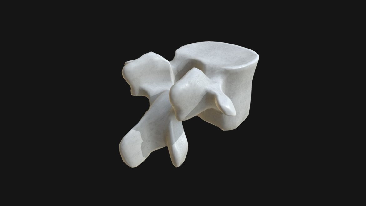 anatomy lumbar vertebra.thumb