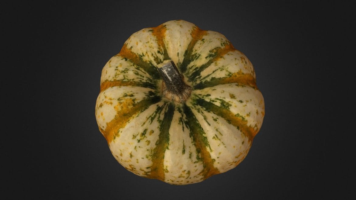 autumn pumpkin.thumb