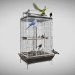 Bird’s Open Cage