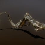 BLACK DRAGON ANIMATIONS