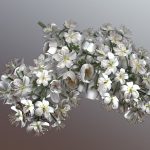 Blossom of a Rowan Low-Poly