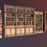 Bookcases and books