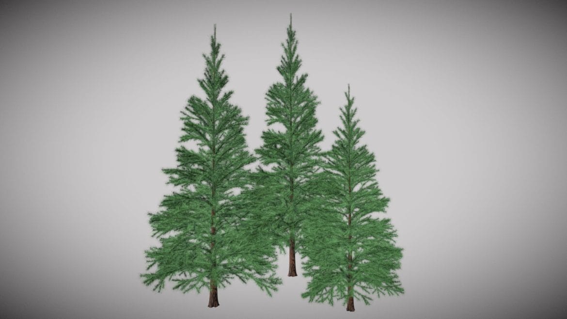 conifers.thumb