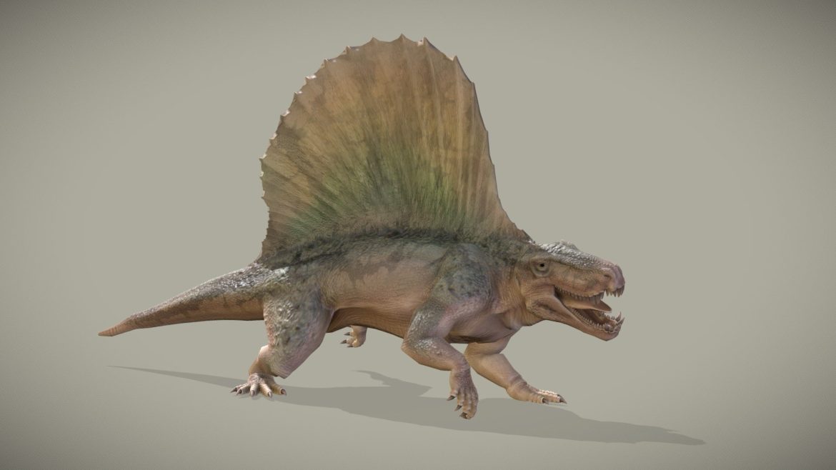 dimetrodon grandis.thumb
