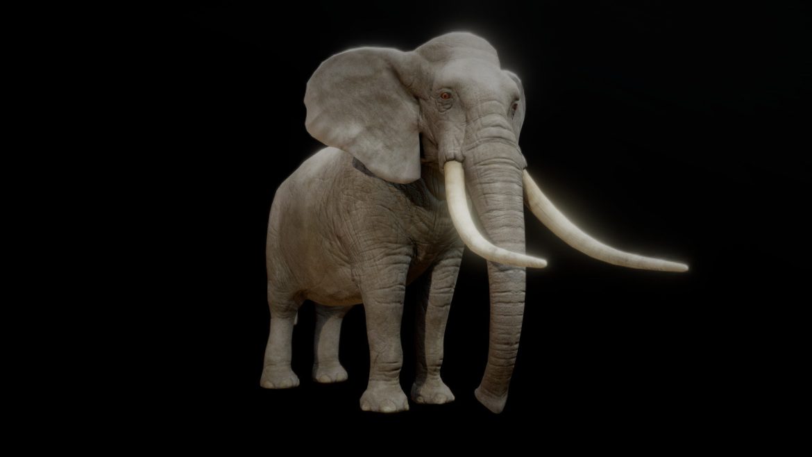 elephant animations.thumb