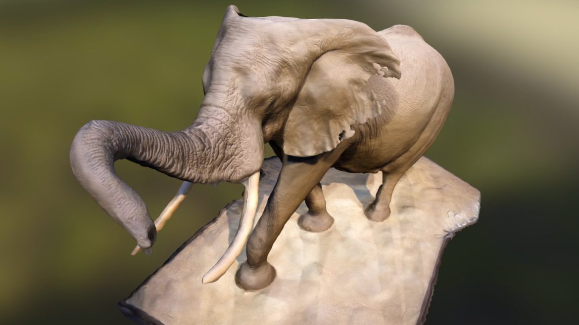 elephant in the rotunda.thumb