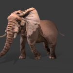 elephant textured rigged inkl hplp models.thumb 2