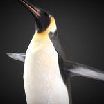 Emperor Penguin Rigged