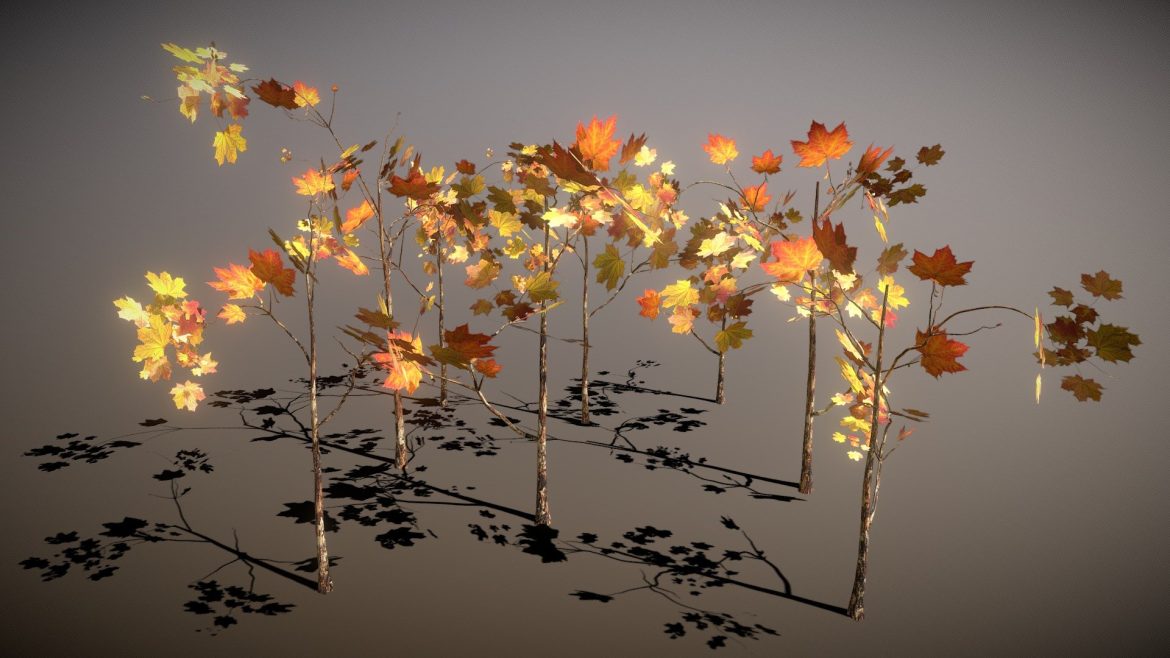 forest undergrowth.thumb