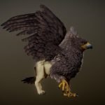 GRIFFON ANIMATIONS