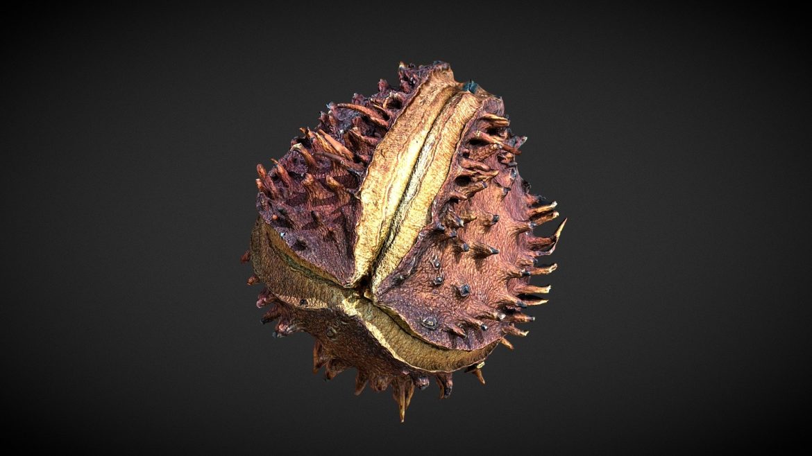 ground scatter seed 07.thumb