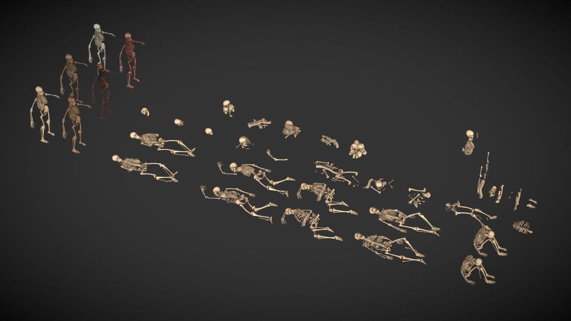 human skeleton remains.thumb