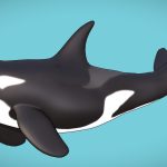 Killer Whale