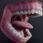 Photorealistic human mouth