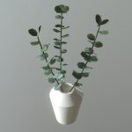 Porcelain Vase with Eucalyptus