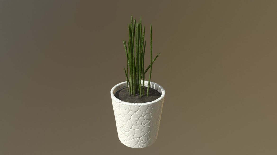 potted chives.thumb