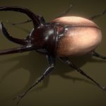Rhino Beetle Lowpoly 3D