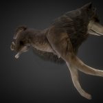 Rigged Wolf Low-poly and Game-Ready