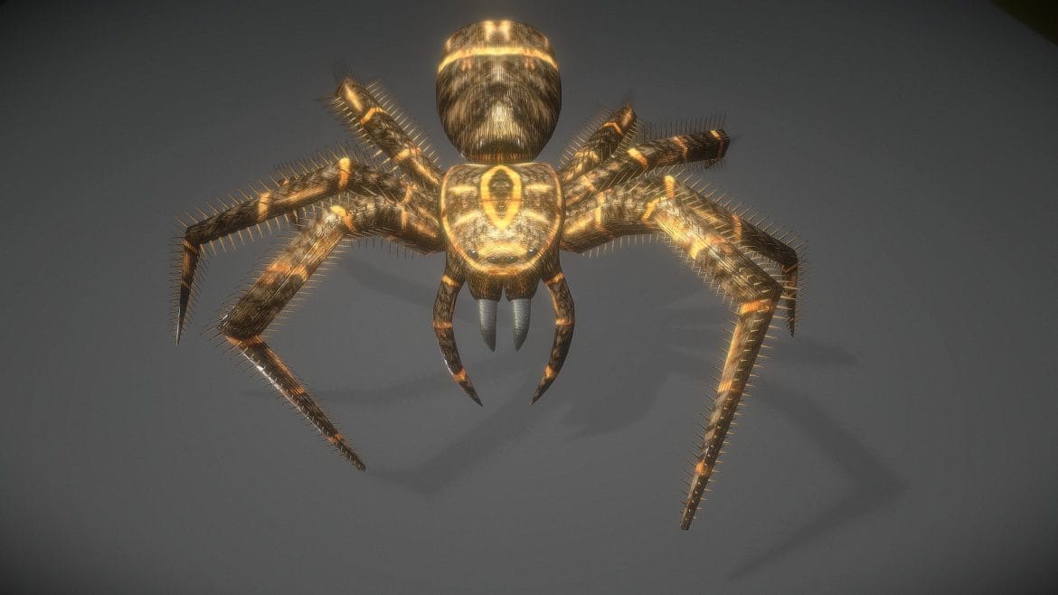 spider animations.thumb