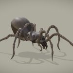 Spider Walk Cycle Animation