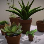 Succulent Plants Obj