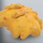 Sunburst Squash (Pattypan Squash)