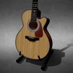 Takamine G Series